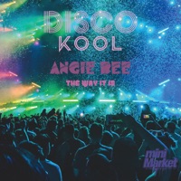 The way it is (feat. Angie Bee) - Single - Disco Kool