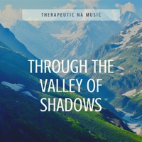 Through the Valley of Shadows, to the Summit of Peace - Therapeutic NA Music