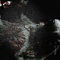 Wahrsager - Single - Crack$ & Junge Vampire