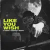 D-Groov, Vicentini & Briana - Like You Wish