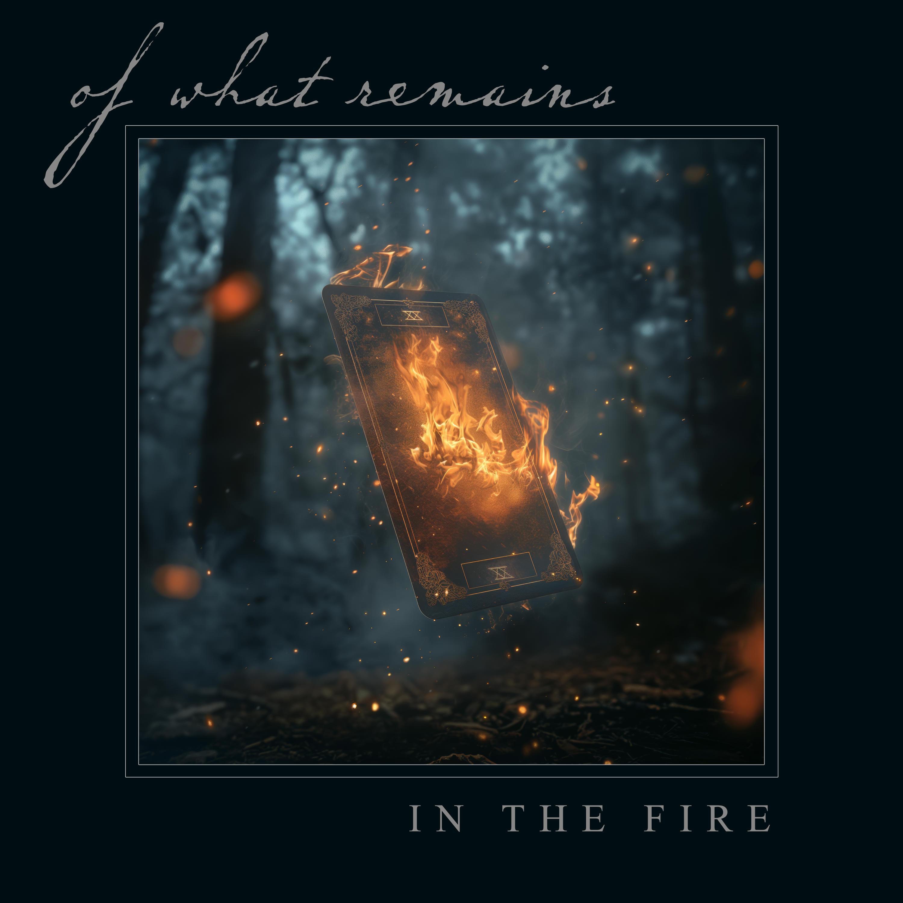 In The Fire - Single