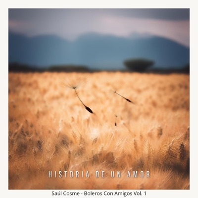 Historia De Un Amor (feat. Haeun Joo, Jamile & Daniel Prim) - Single