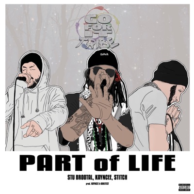 Part of Life (single)