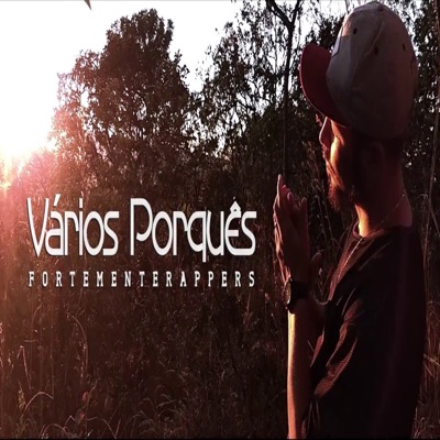 Vários Porquês - Single