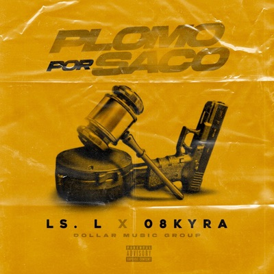 Plomo por saco (feat. LS. L & Dollar music group) - Single