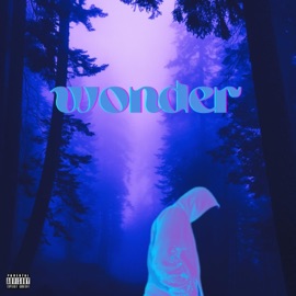 Wonder LiL Chief