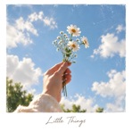 Little things