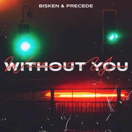 Without You Bisken & Precede