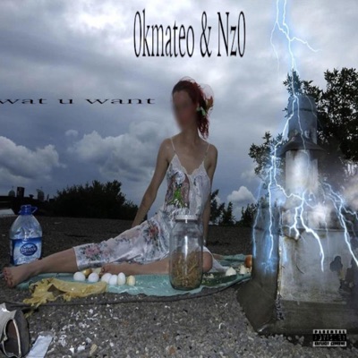 wat u want (feat. 0kmateo) - Single