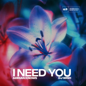 I Need You - Single