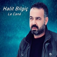Le Cané - Single - Halit Bilgiç
