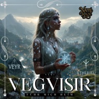 Vegvisir - Single