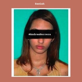 Andrea Herrera Saelah