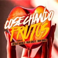 Cosechando Frutos - Single - Santiago Molina, Simon Correa & Sergio Angel