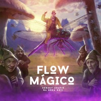 Flow Mágico - Single - Sensey Zhafir & Na Bóka Noti