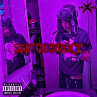 SELF DESTRUCT! - Single - greyXeyes
