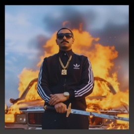 תוצרת סין נועם שירי