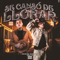 Se Cansó de Llorar - Single - Balbi El Chamako & Toly Fu