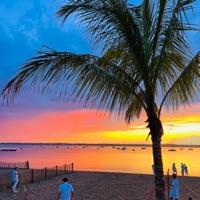 Si Todo Fuera Simple - Single - @TopLucid