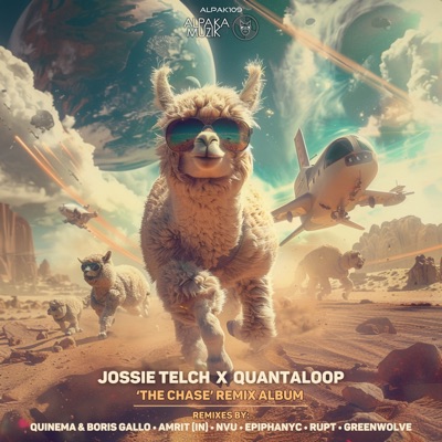 The Chase (NVU Remix) - Single