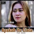 Apakah Itu Cinta