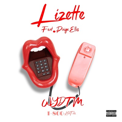 WYDTM (feat. Paige Ellis) - Single