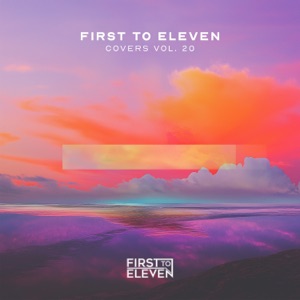 Covers Vol. 20