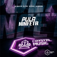 Pula Ninfeta - Single - DJ Mestre, DJ PND, MC SILVA ZN & MC SILVA