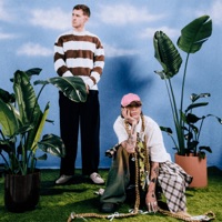 Dominik Hartz & jolle - Fast vergessen