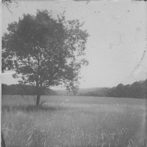 Long Lost Lovers - Single