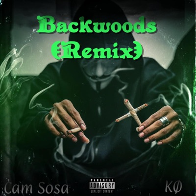 Backwoods (feat. Kø) [Remix] - Single