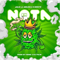 En Nota - Single - Dj Pilin, Julis La Melodia & Alejandro Alca