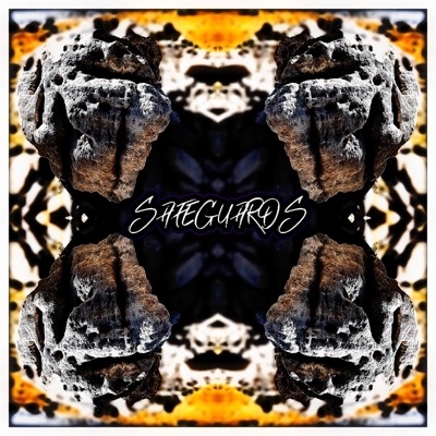 Safeguards - Single