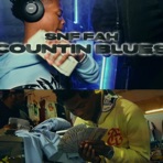 Counting blues - Single