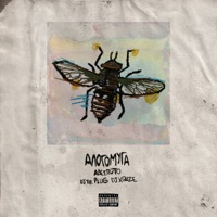 Alogomyga - Single - Adespoto, The Plug & DJ Xquze