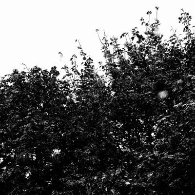 teeth (demo) - Single