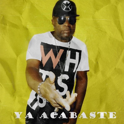 Mami Ya Acabaste (feat. Papady) - Single