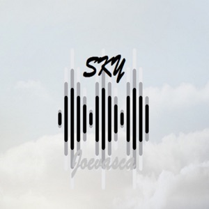 Sky (Radio Edit) [feat. Tough Love, Zyzz, GYM HARDSTYLE, HARDSTYLE BRAH & BAKI]