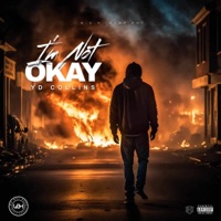 Im Not Ok - YD Collins