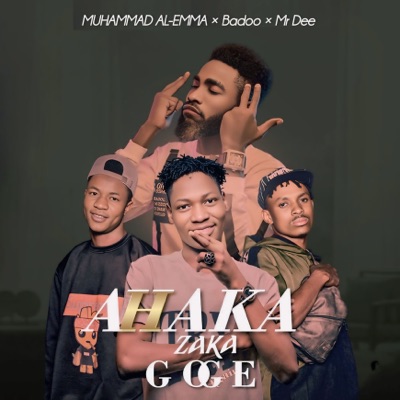 A Haka Zaka Goge (feat. Mr Dee & Badoo) - Single