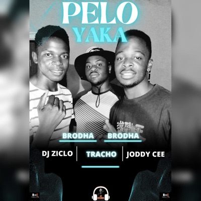 Pelo Yaka (Joddy Cee x Dj Ziclo & Bhozza Tracho) - Single