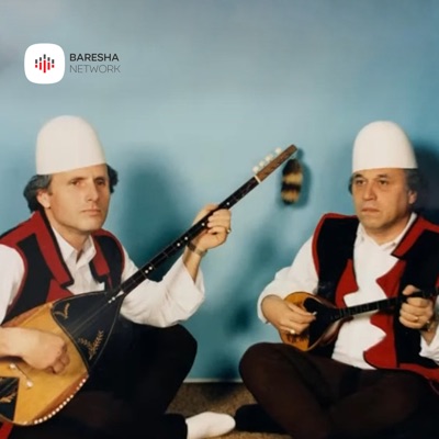 Zenun Stojku (feat. Sevdi Malsia) - Single