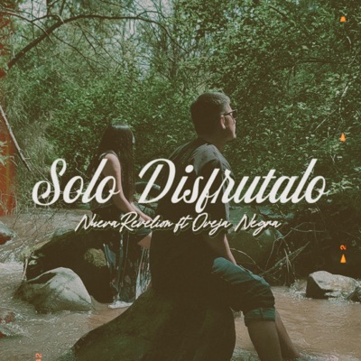 SOLO DISFRUTALO (feat. OVEJA NEGRA) - Single
