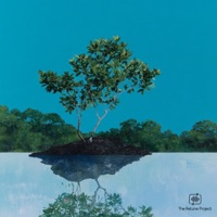 Mangrove - Single - floomyy, Erwin Do & The Retune Project
