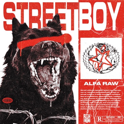 Streetboy - Single