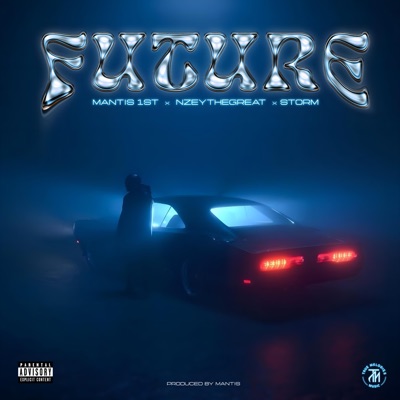 Future (feat. S T O R M & Nzeythegreat) - Single