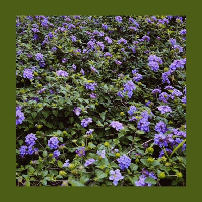 Hai lần mất em - Single