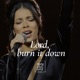 Lord burn it down Single
