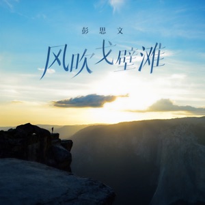 风吹戈壁滩 - Single