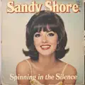Spinning in the Silence